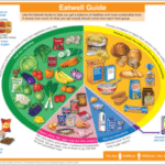 Supplements for a Balanced Diet: The Essential Handbook