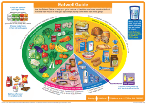 Supplements for a Balanced Diet: The Essential Handbook