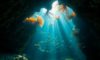 Belize Diving: Explore Captivating Underwater Wonders