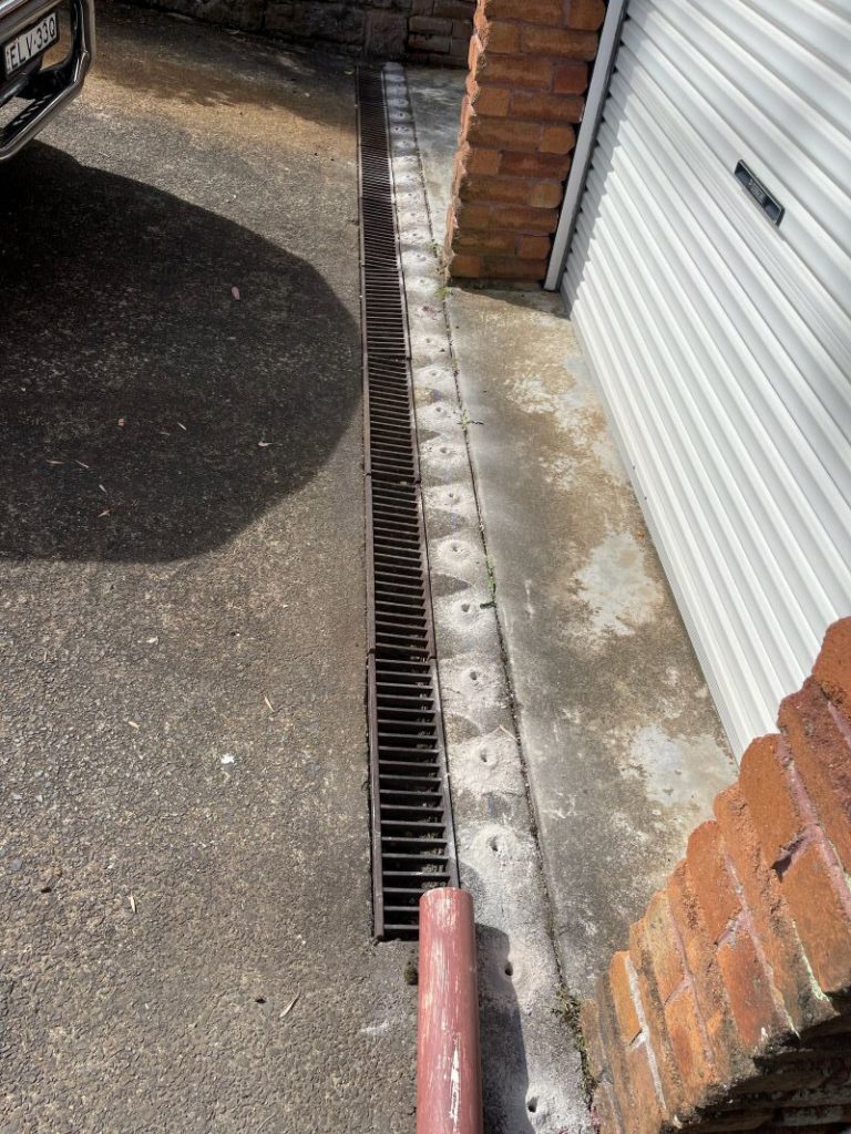 Termite Protection for Your Home: Coverage Insights