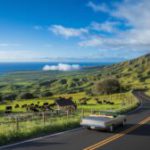 Maui Upcountry Adventure: Scenic Routes and Hidden Gems