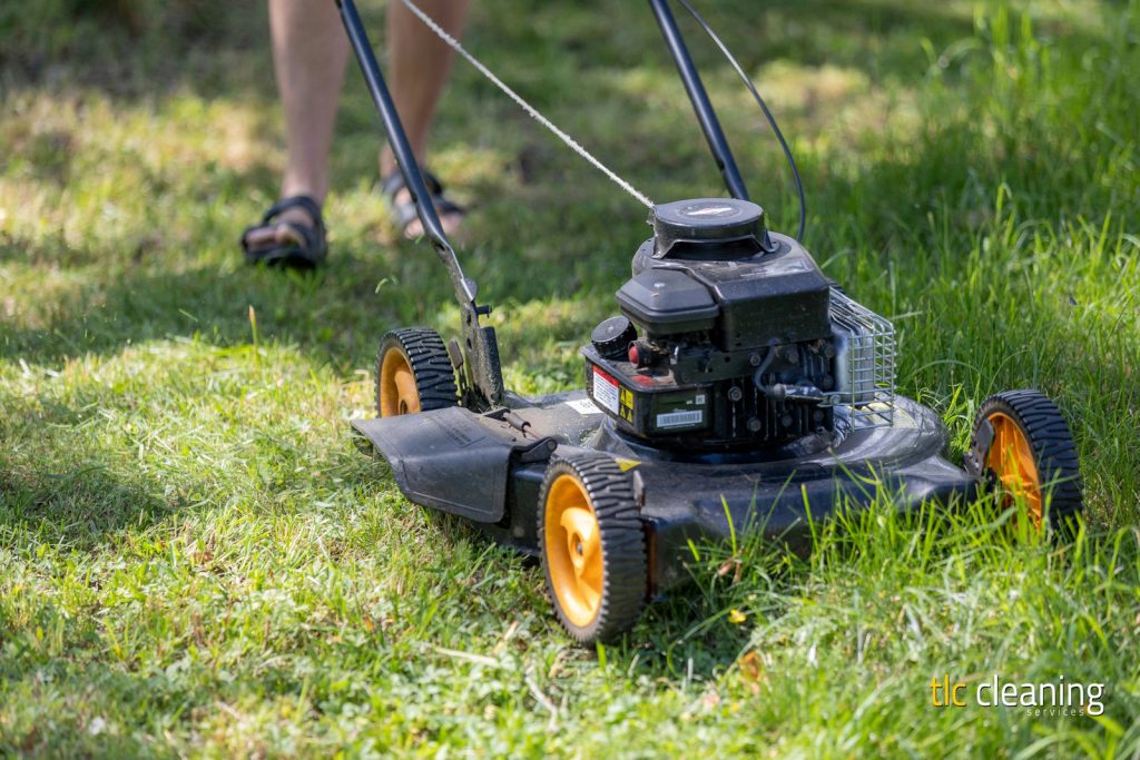 Montacute Grass Cutting Services: Options and Tips