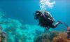 Diving Guide for Belize’s Big Blue Hole Tips
