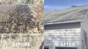Explore the Essential Role of Soft Washing in Comprehensive Home Upkeep