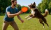 Frisbee Techniques to Train Your Dog Today!