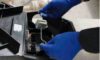 Rat Bait Laws: Essential Updates for Australia You Should Know