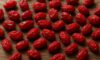 Dried Barberries: Explore Traditional Persian Recipes