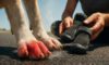 Pavement Safety for Dogs: Key Summer Tips to Keep Them Safe