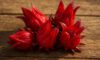 Hibiscus Flowers: Innovative Culinary Tips and Tricks
