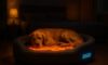 Temperature-Controlled Beds for Pets: Comfort Made Easy