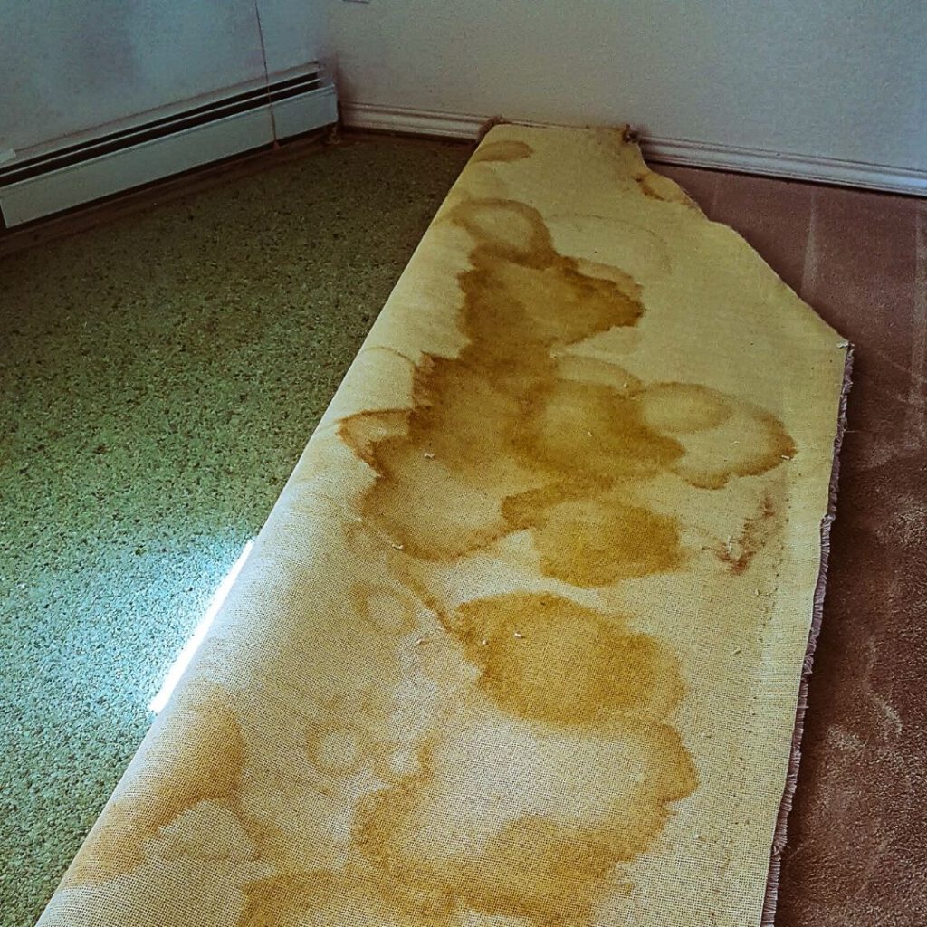 Carpet Disposal Made Easy: Underlay Solutions in Sydney