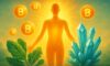Clean Energy Supplements: Energise Your Day Wisely